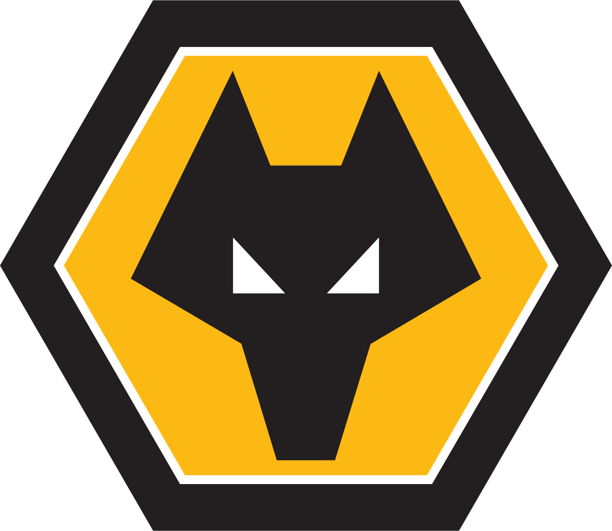Wolverhampton Wanderers FC